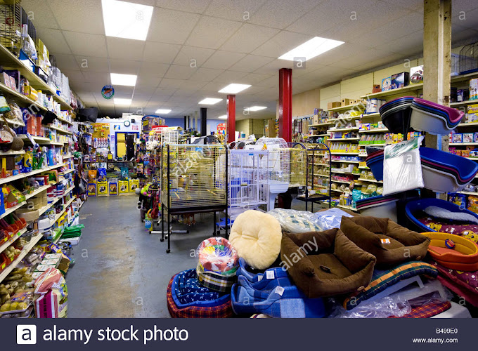 Awesome Pet shop photo