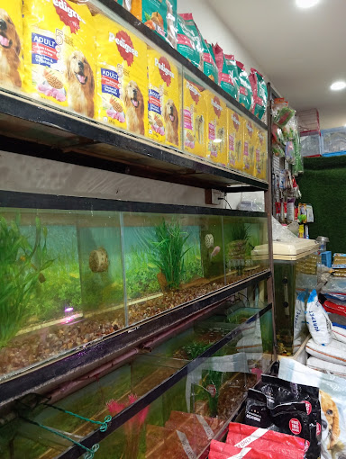 Awesome Pet shop photo