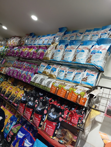 Awesome Pet shop photo