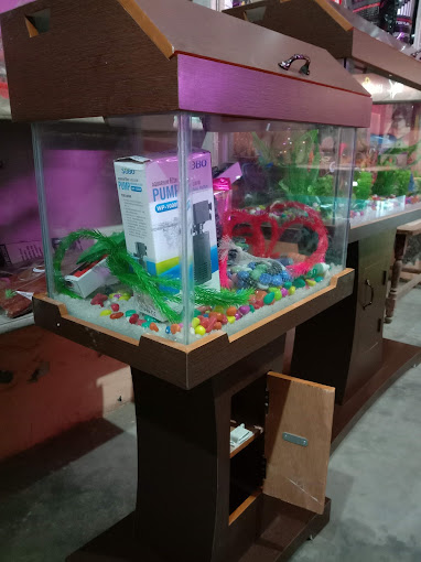 Delhi Fish Aquarium Photo