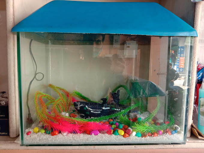 Delhi Fish Aquarium Photo