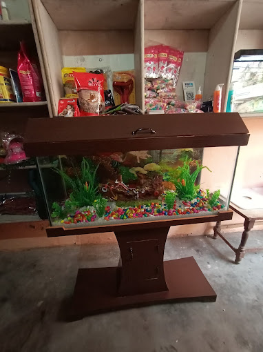 Delhi Fish Aquarium Photo