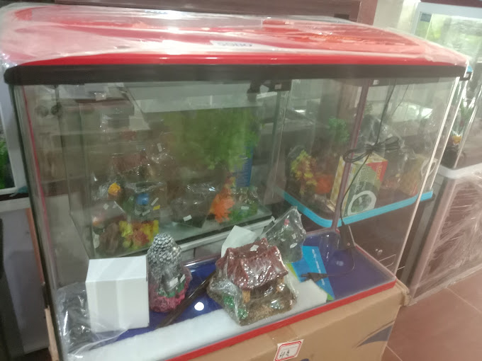 Delhi Fish Aquarium Photo