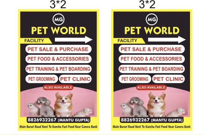 MG PET WORLD Photo