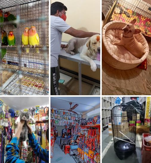 Pet Shops in Sant Nagar Burari