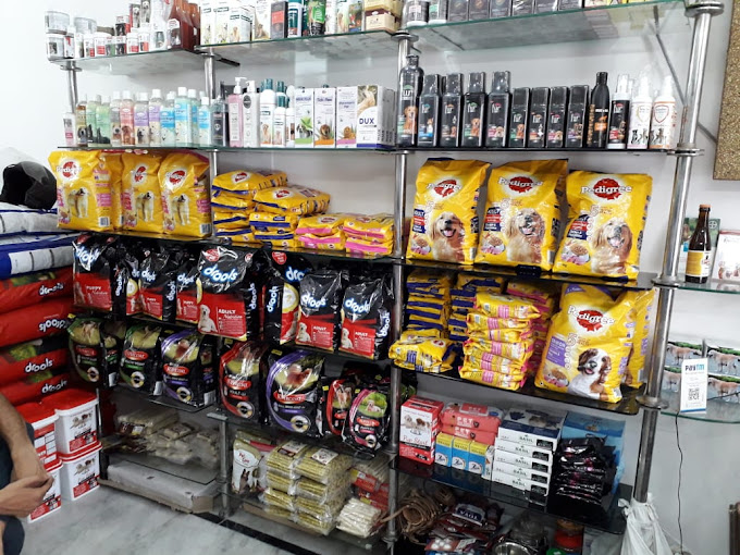 Sai pet home and clinic photo