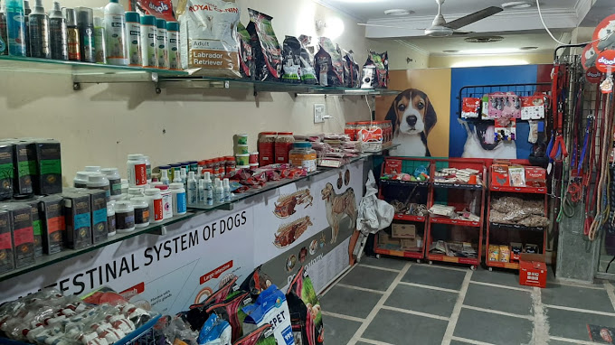 Sai pet home and clinic photo