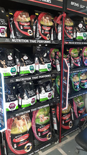 Sai pet home and clinic photo