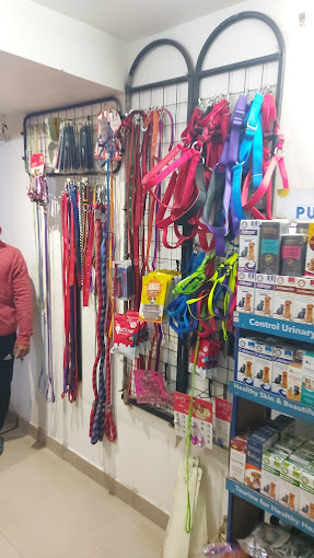 Sai pet home and clinic photo