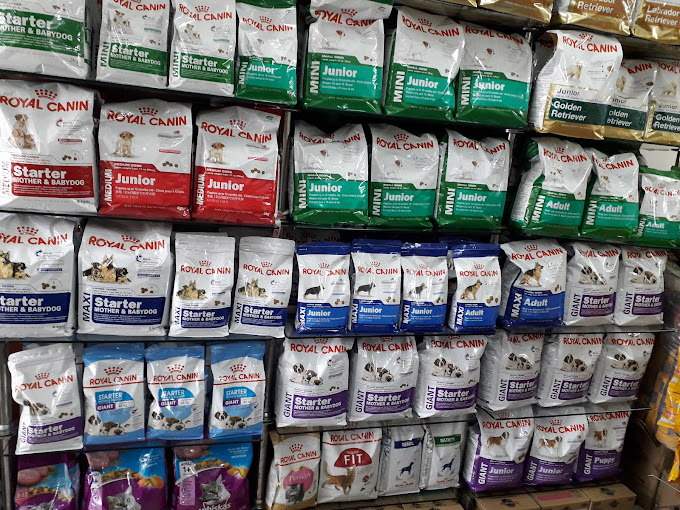 Sai pet home and clinic photo