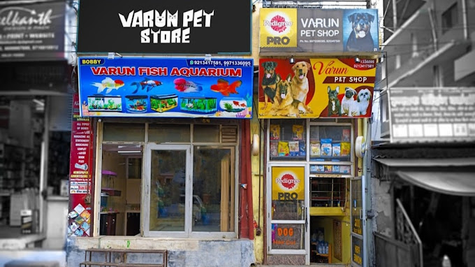 Varun pet store fish aquarium